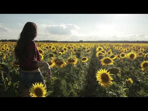 Quote by Thich Nhat Hanh