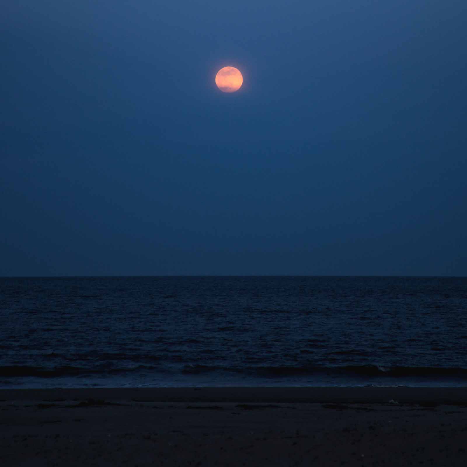 The Ancient Island | A Guided Nature Immersion for Sleep