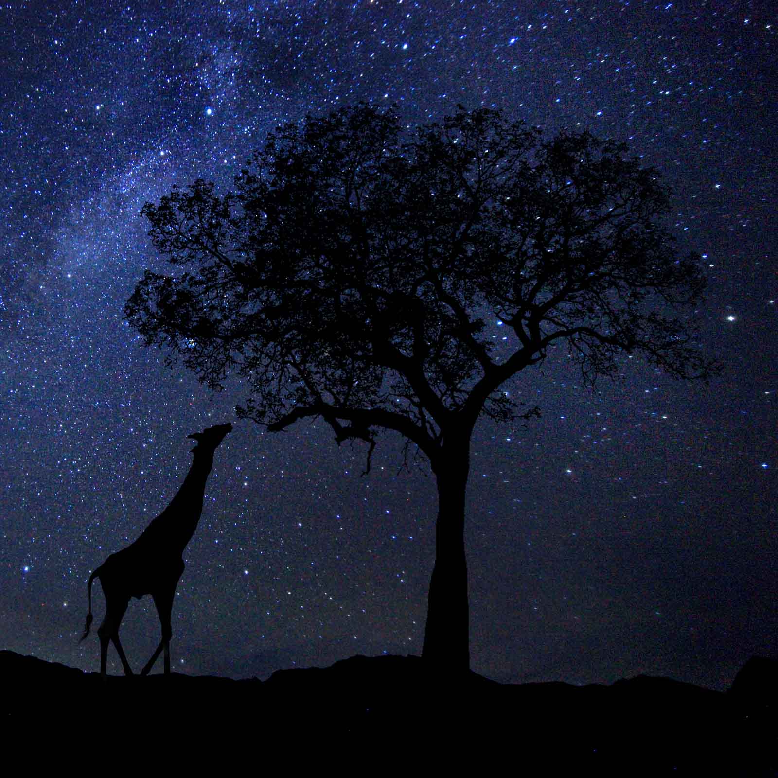 The Rain in Africa | A Guided Visualisation & Nature Immersion