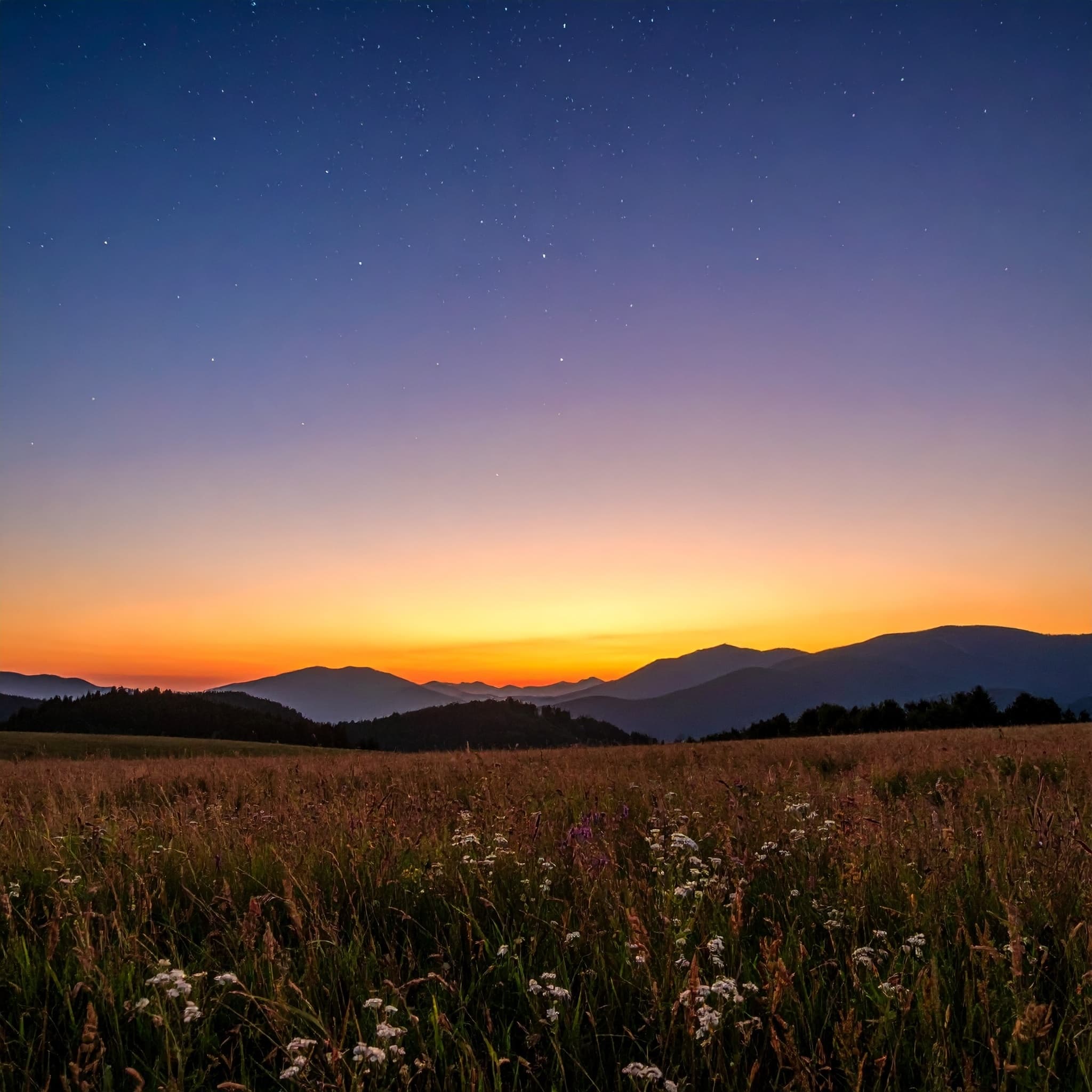 At the Edge of Night: A Soundscape for Deep Rest