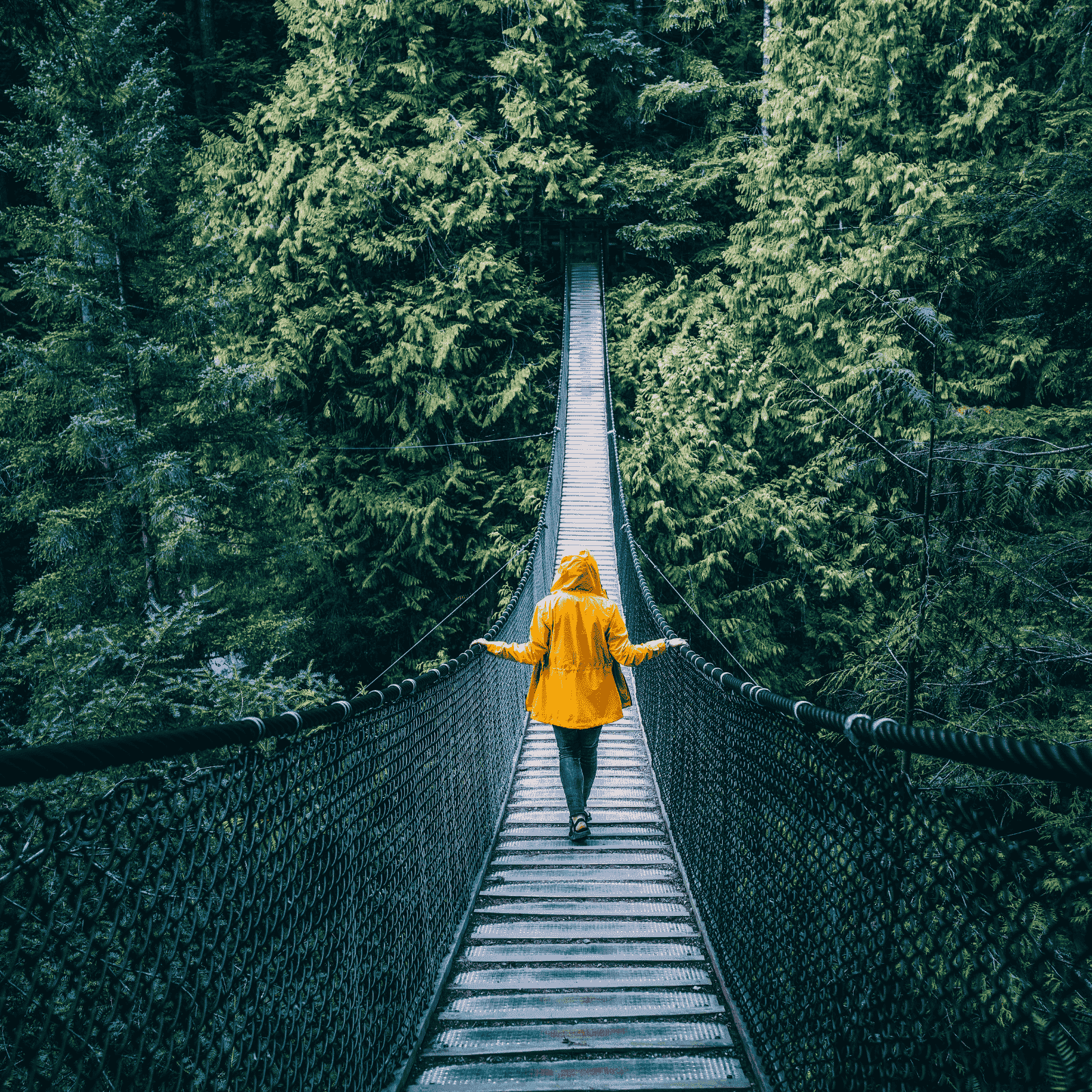 The Journey Home — A Healing Sleep Meditation