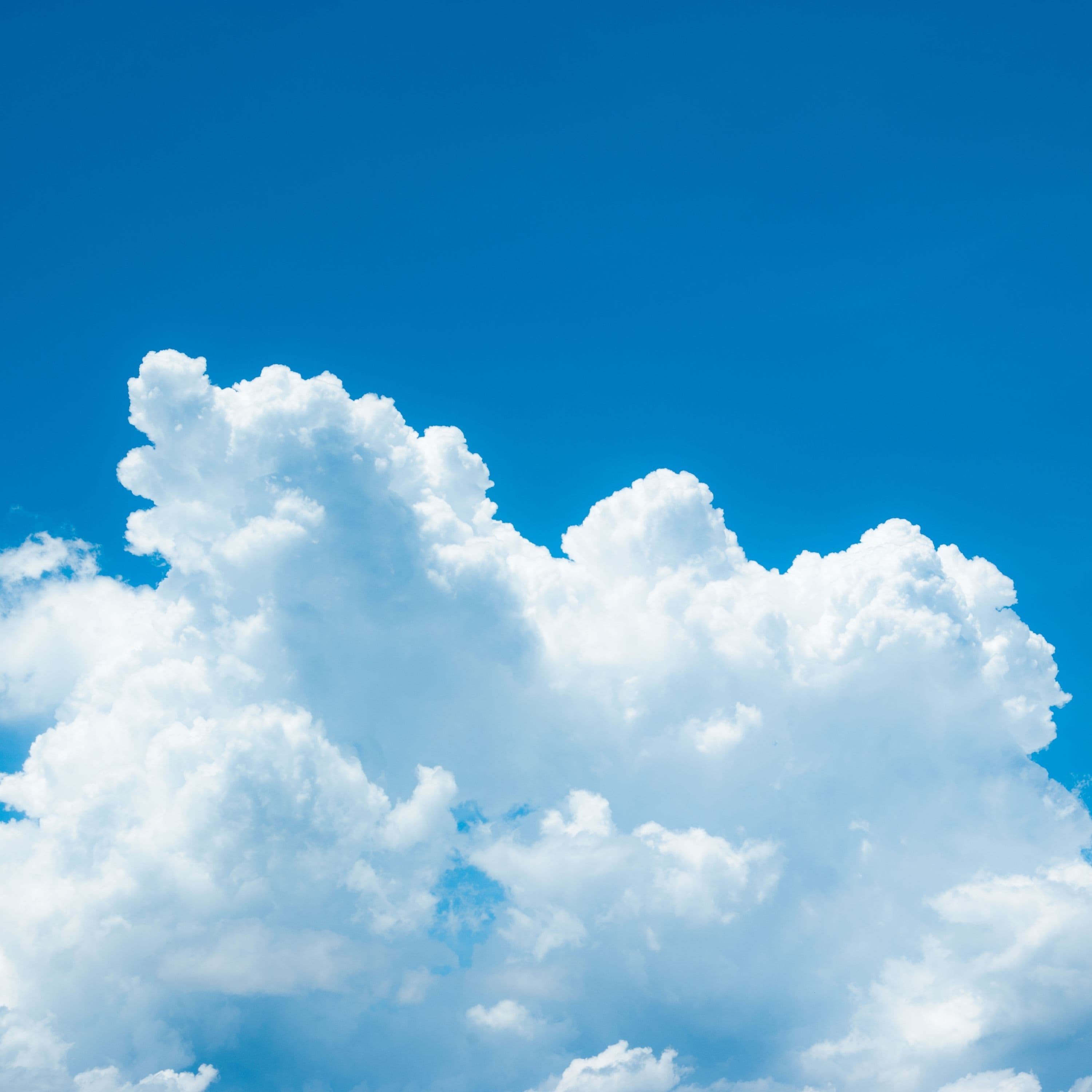 Let Go: A Guided Meditation for Rest and Renewal