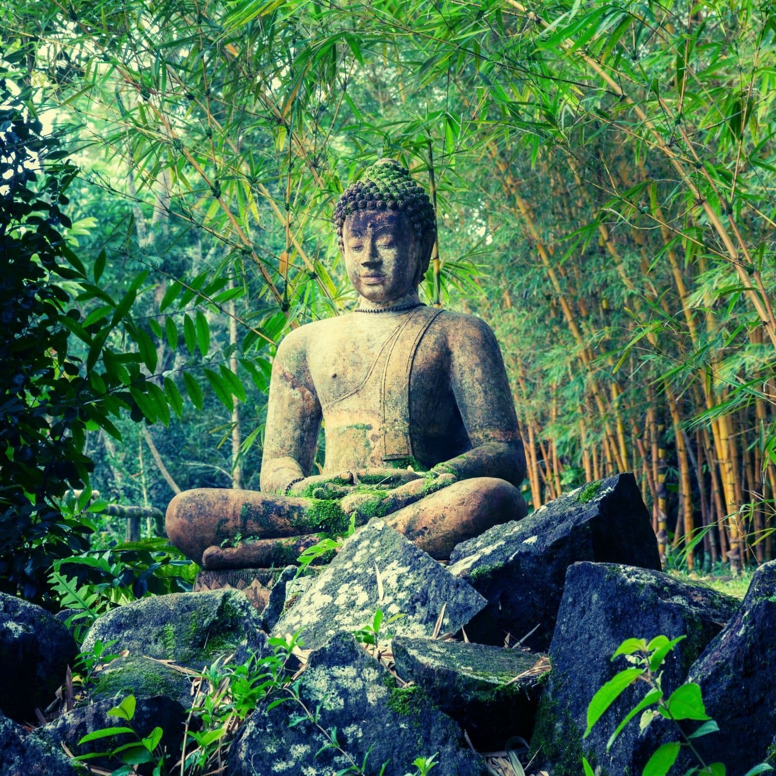 Dreaming in the Bamboo Forest: Gentle Windchimes for Sleep and Deep Calm