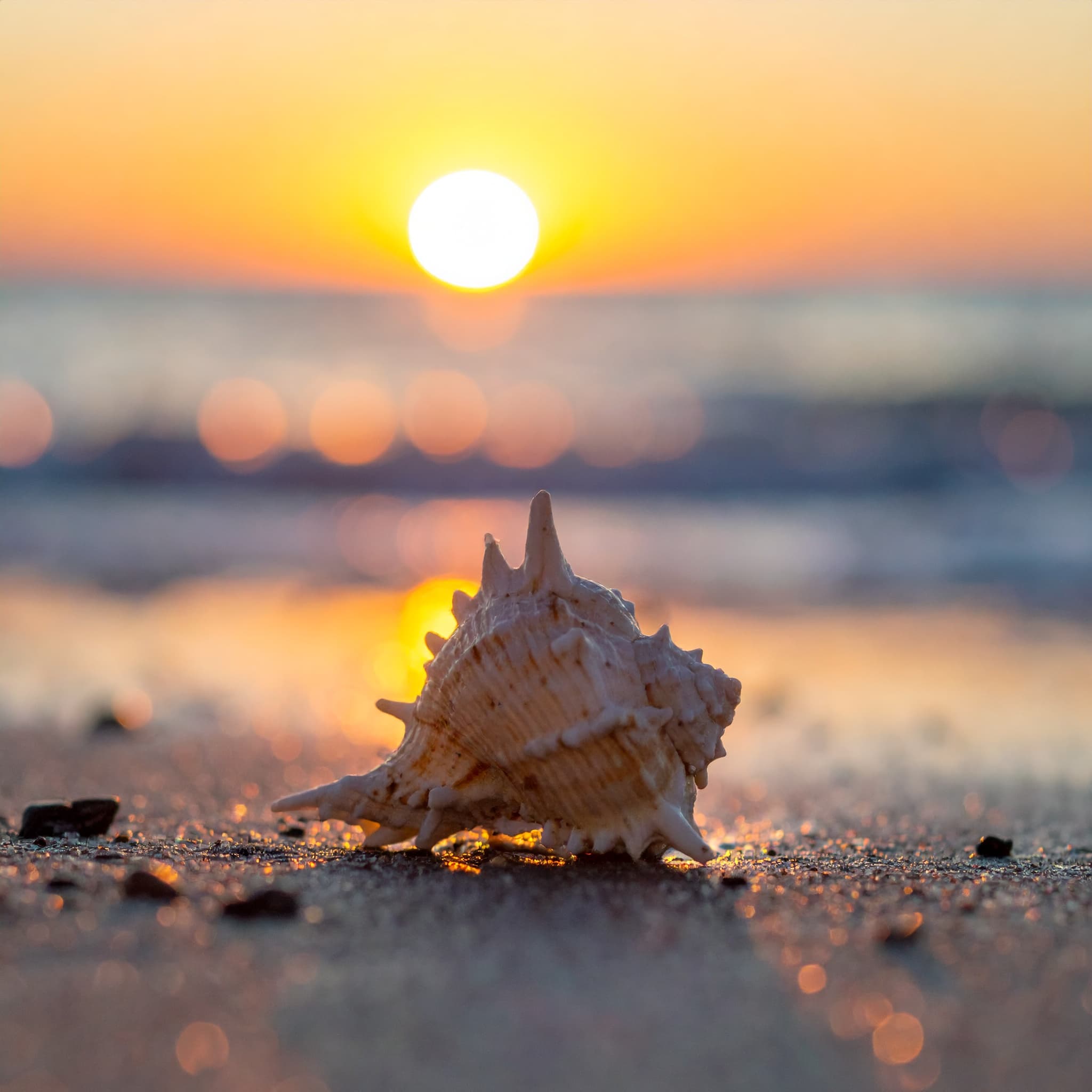 The Magic Bag and the Island Within Yourself