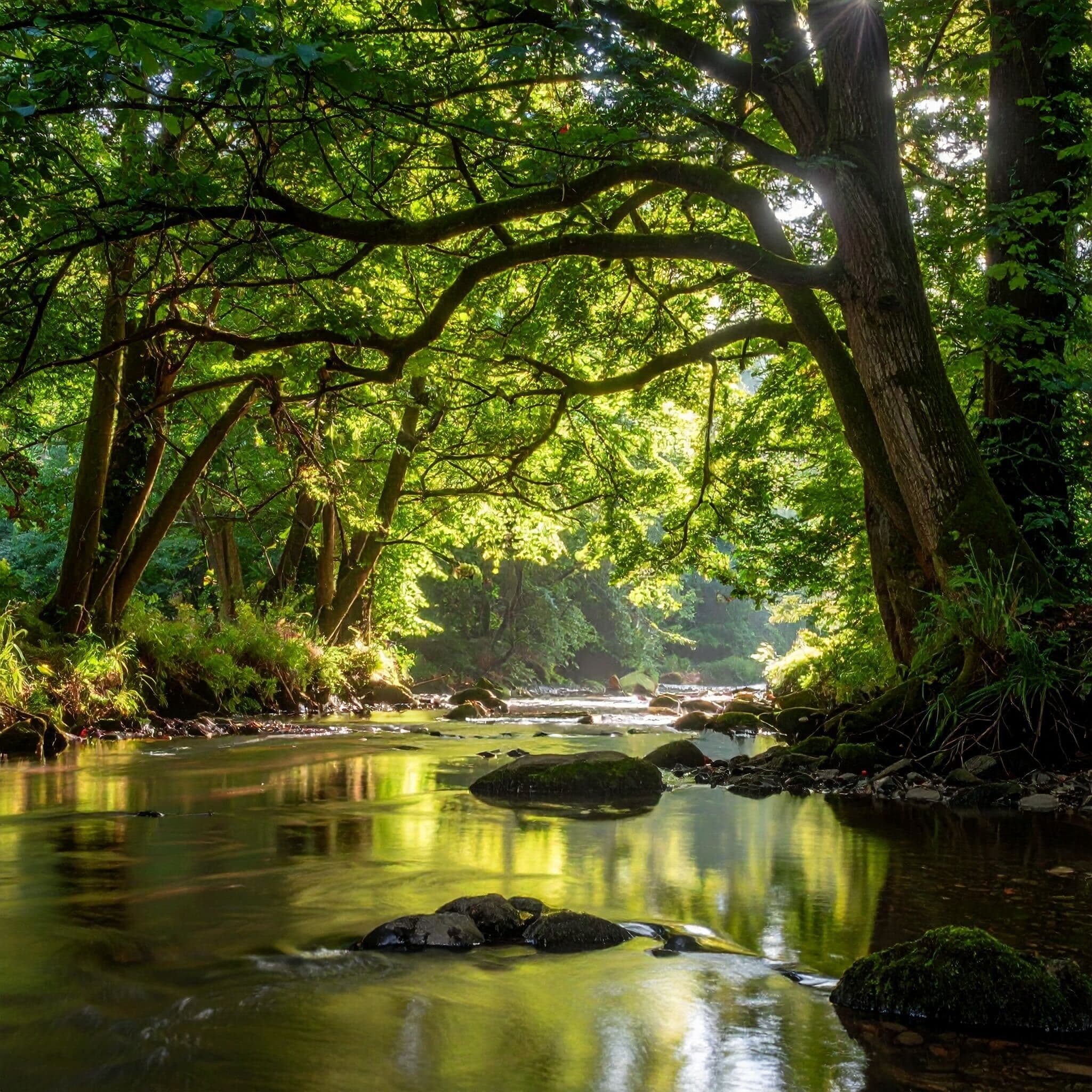 The Gentle Current: A Soundscape for Peaceful Rest