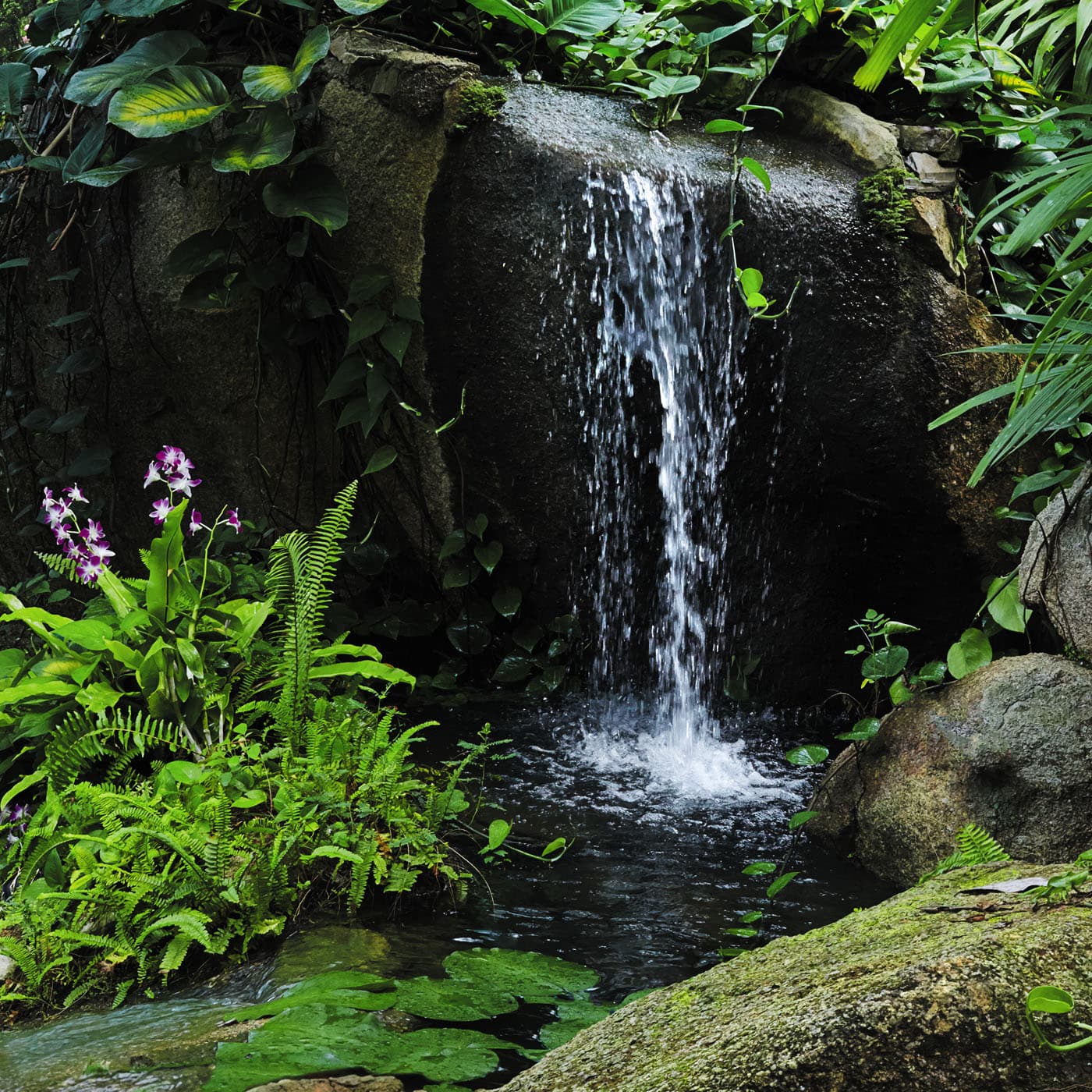 The Land Before Time | Sleep Story